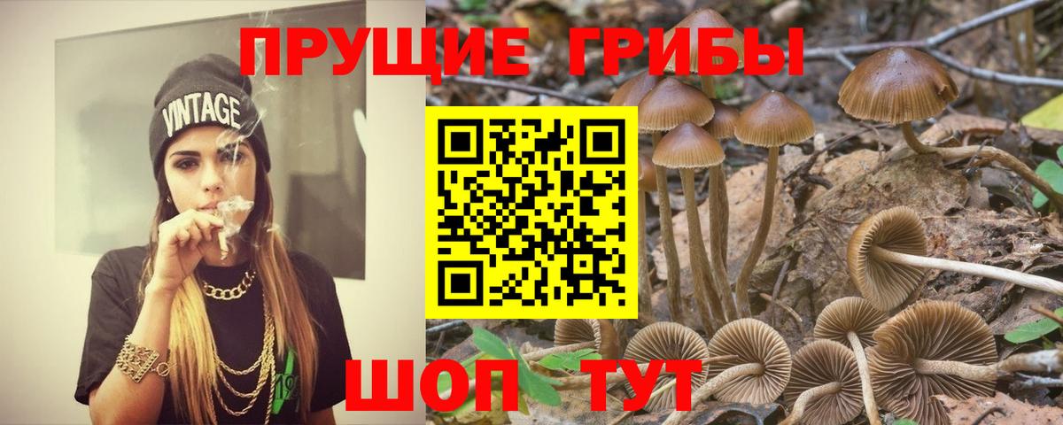 Белово  купить   Вход с VPN  Псилоцибиновые грибы прущие грибы 